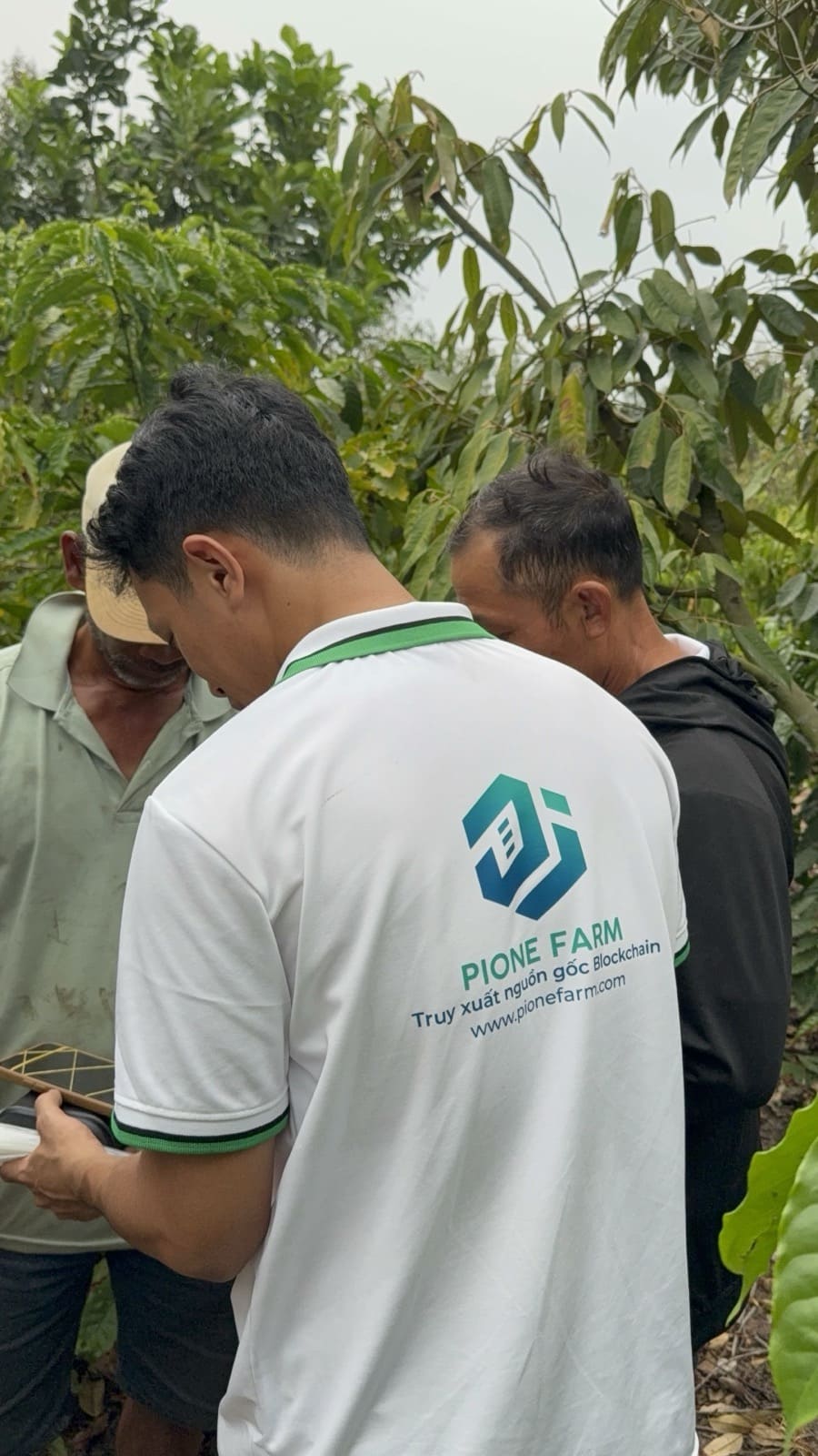 Ảnh hướng dẫn sử dụng Tracera: Khảo sát vùng trồng và định danh mã vùng bằng blockchain tại Đắk Lắk