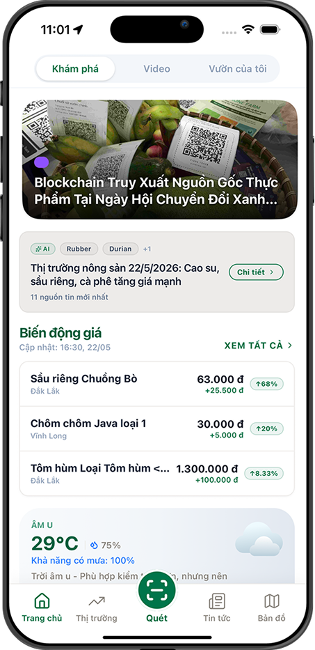 Giao diện ứng dụng Tracera trên điện thoại