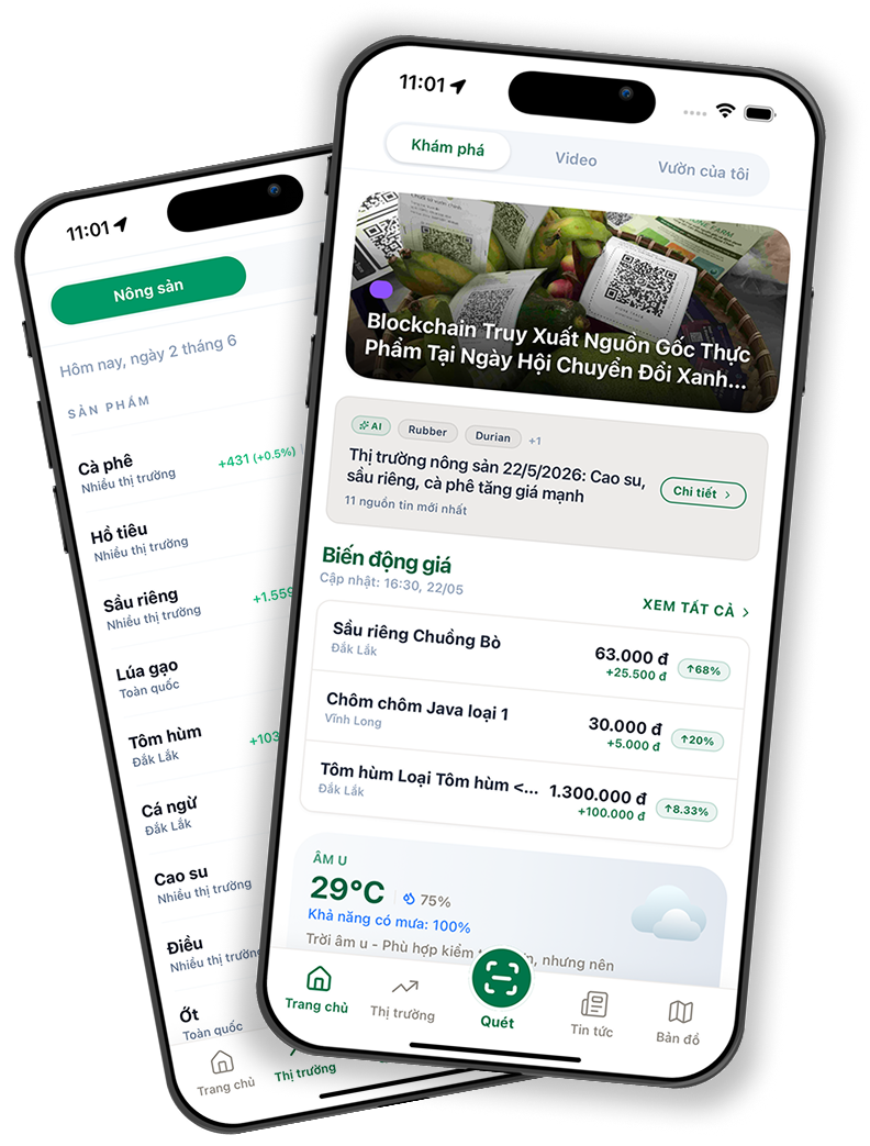 Tracera App Screen